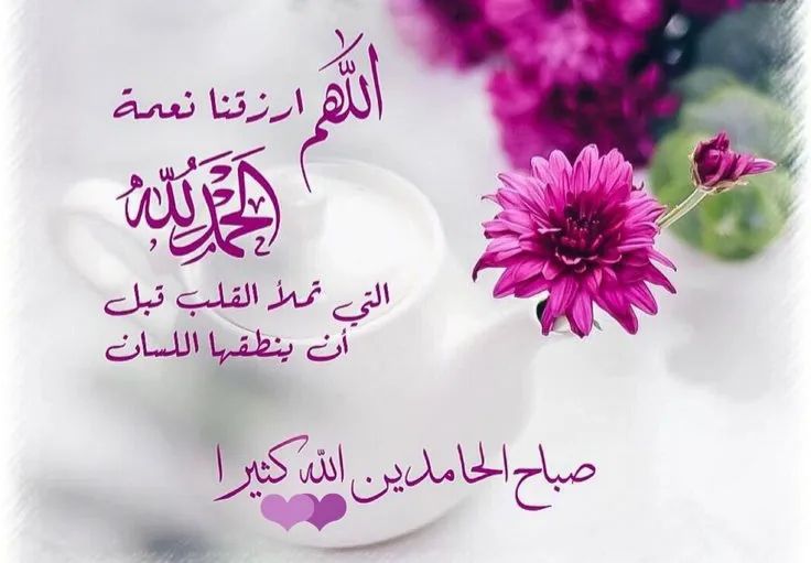 وداد العراقي عراقي tweet media