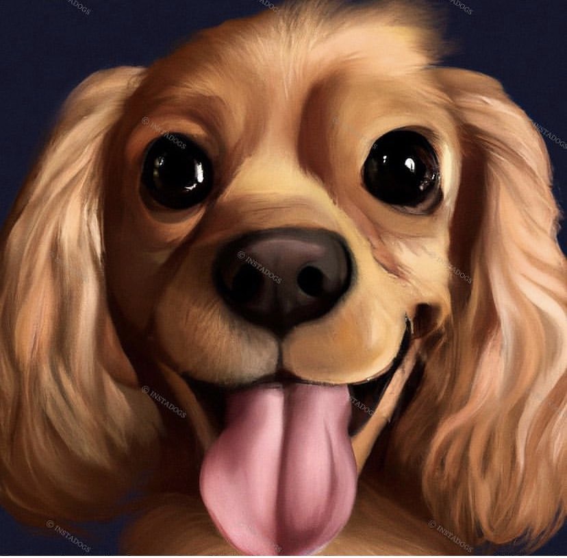 lnstadogs tweet picture