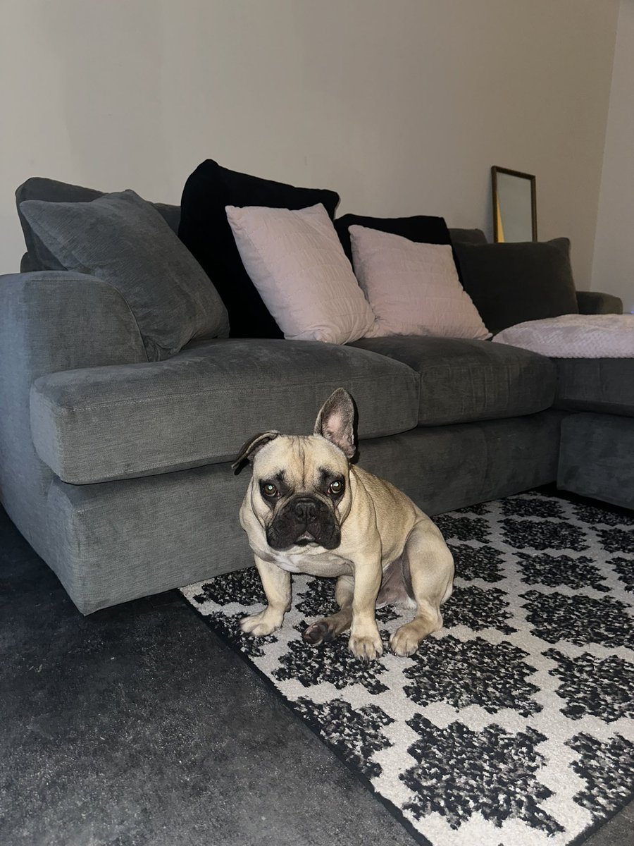 MissCLCarr's tweet photo. First weekend in our new place 🫶🏼 https://t.co/Wr9o5YI9RZ