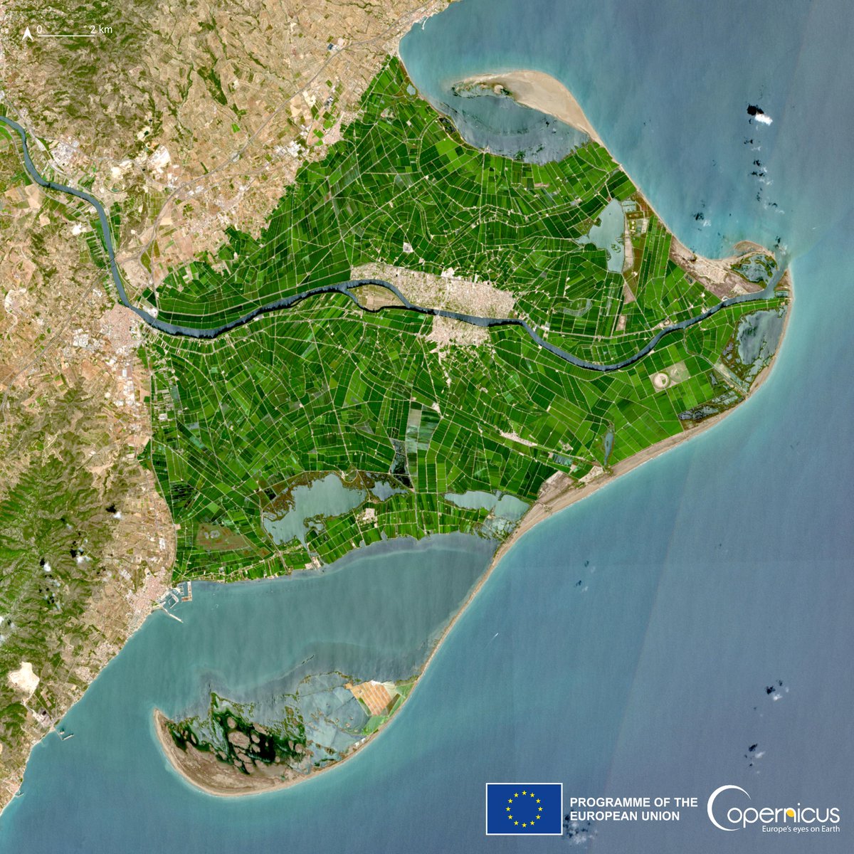 ¡Buenos días España🇪🇸!

¿Habéis visto esta imagen de los cultivos de arroz en el Delta del #Ebro capturada por #Copernicus #Sentinel2🇪🇺🛰️ el pasado 14 de Julio?

Seguro que pronto llegan las cosechas y disfrutáis de esas #paellas 🥘tan típicas vuestras