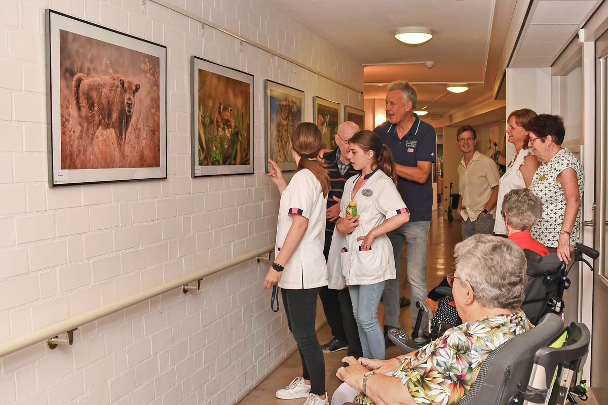 RobVrolijk's tweet photo. Stichting Vrienden van Sint Jan sponsort foto-expositie https://t.co/SJKF7QfdSs Foto: José Snabel #SintJan #verzorgingshuis #Uden #Natuurgebied #DeMaashorst #fotoexpositie #Fotoclub #Exmoor #taurossen #wisent #woongenot #tandemfietsen #zomerhuis #zomerkermis #tovertafels https://t.co/Dd8wnFqGGP