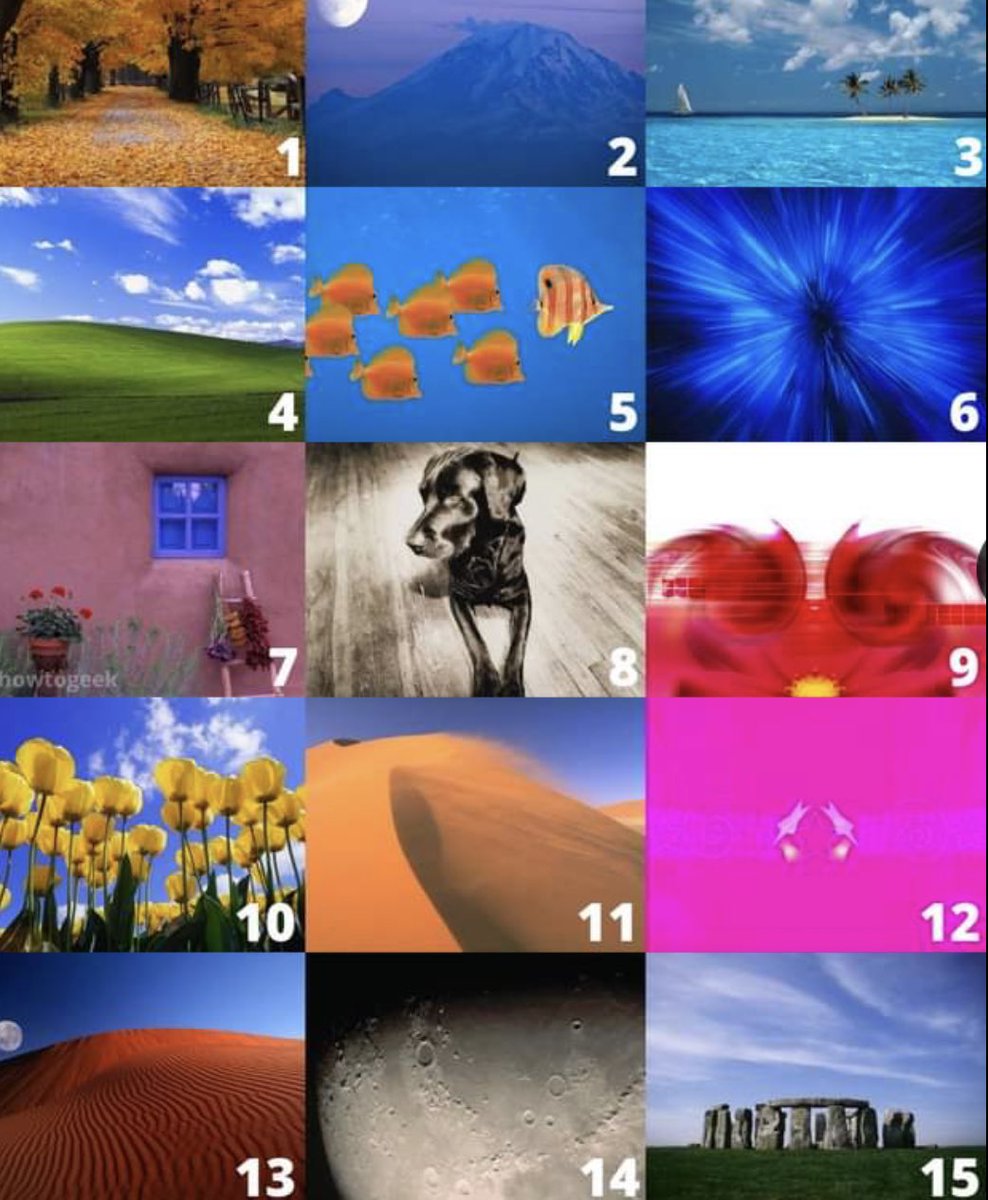 LinuxSeb's tweet photo. Alright ppl which windows xp wallpaper did you use https://t.co/czjhJgC1gC