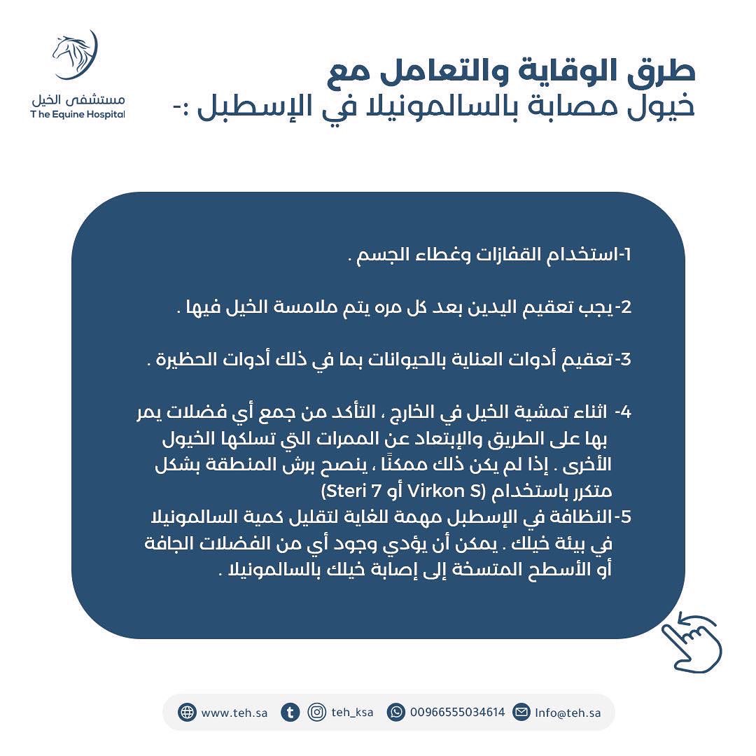كيف نحمي الخيول من خطر " السالمونيلا" ؟!

#مستشفى_الخيل_بالرياض