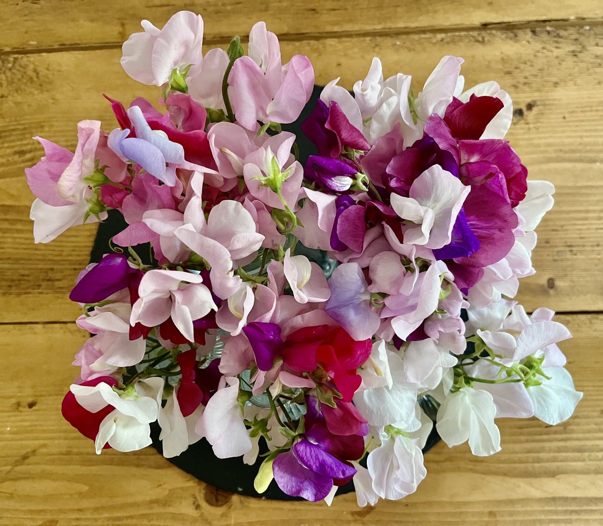 Cindy (Spence) Vallance (she/her) tweet media