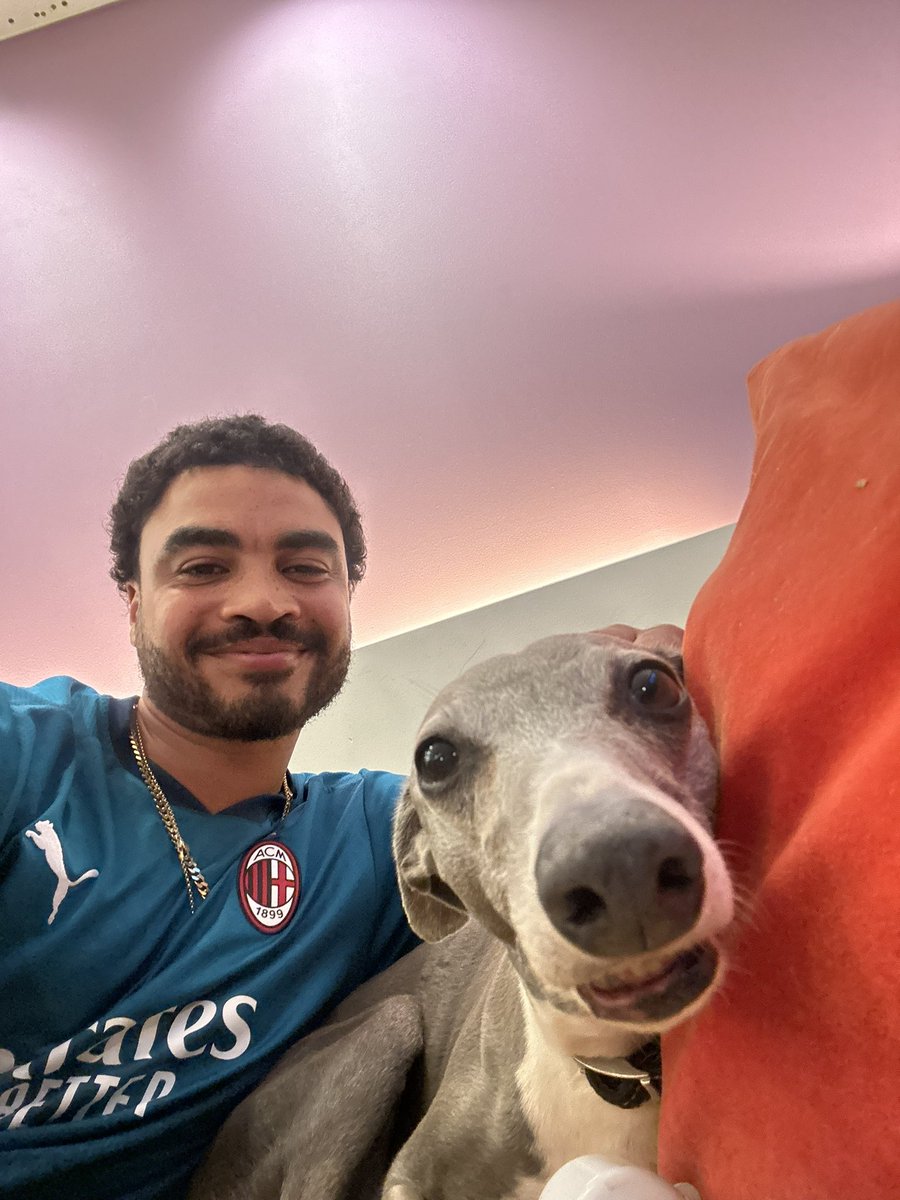 Ellis Gilbert tweet media