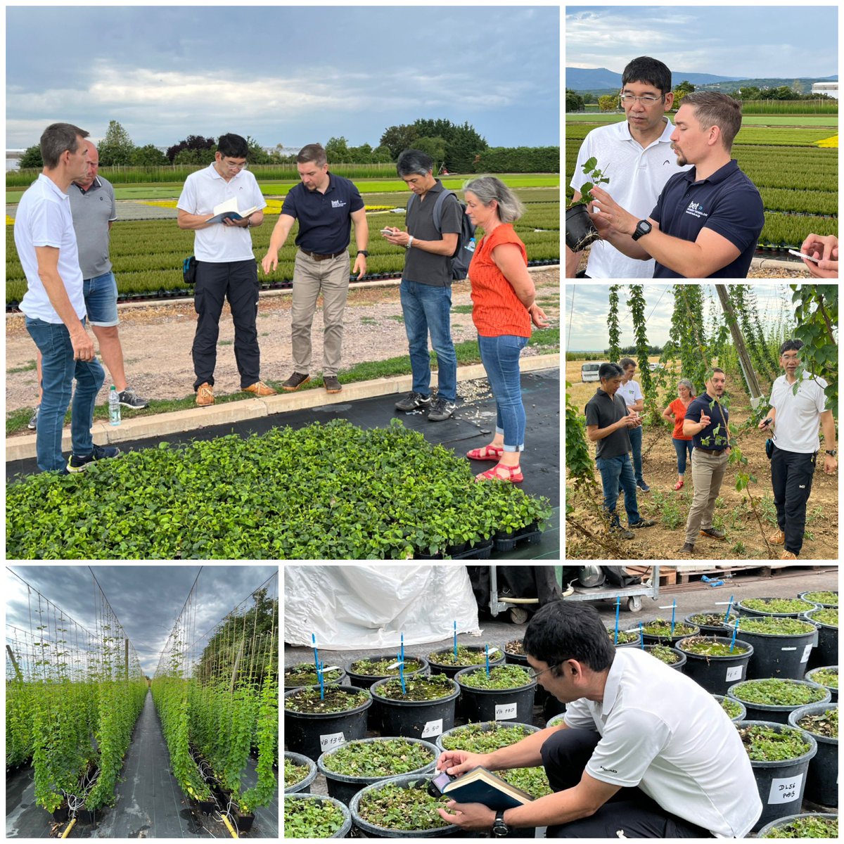 HOP France tweet media