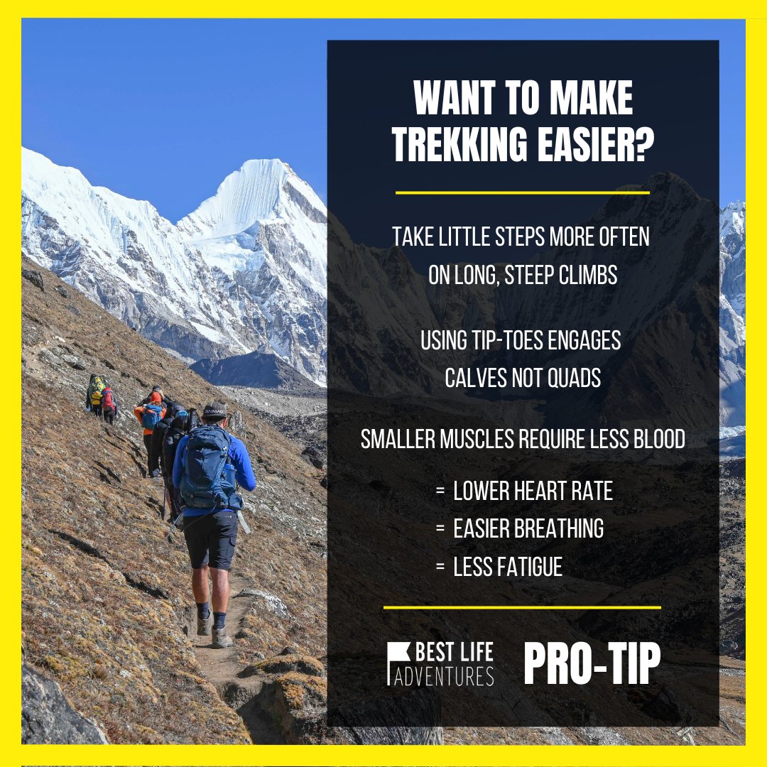 🚶‍♂️ Ben's Pro Tips for Making Trekking Easier 🌄

If you love trekking as much as we do, Expedition Director @bensouthall has got some awesome pro tips to share that will make your hiking experience a breeze!

#bestlifeadventures #getoutdoors #explore #journey #discover #wildearth