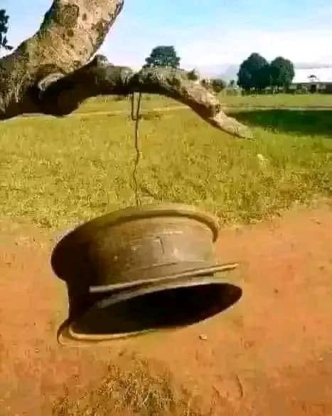 omgwaleigh's tweet photo. This thing sounded like bells of heaven whenever it was lunch time 😂

Rich kids won’t understand 😂😂 https://t.co/4PO8Be9SKr