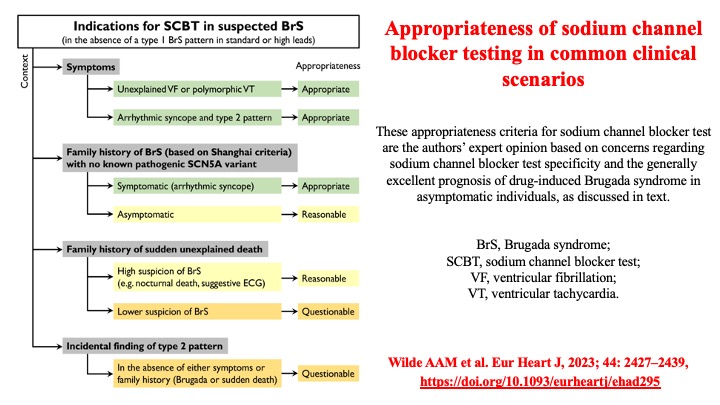 📌 Diagnosis of #BrugadaSyndrome
👉 Use, misuse & pitfalls of drug challenge test
#ECG #SportsCardiology #SCD @adribaran @SSharmacardio @MJAckermanMDPhD @AndrewKrahnMD @ecgrhythms @DavidNiederseer @CRY_UK @smithECGBlog @jvillacastin @KristinaHaugaa @MichaelPapadak2 @ManlioMarquez