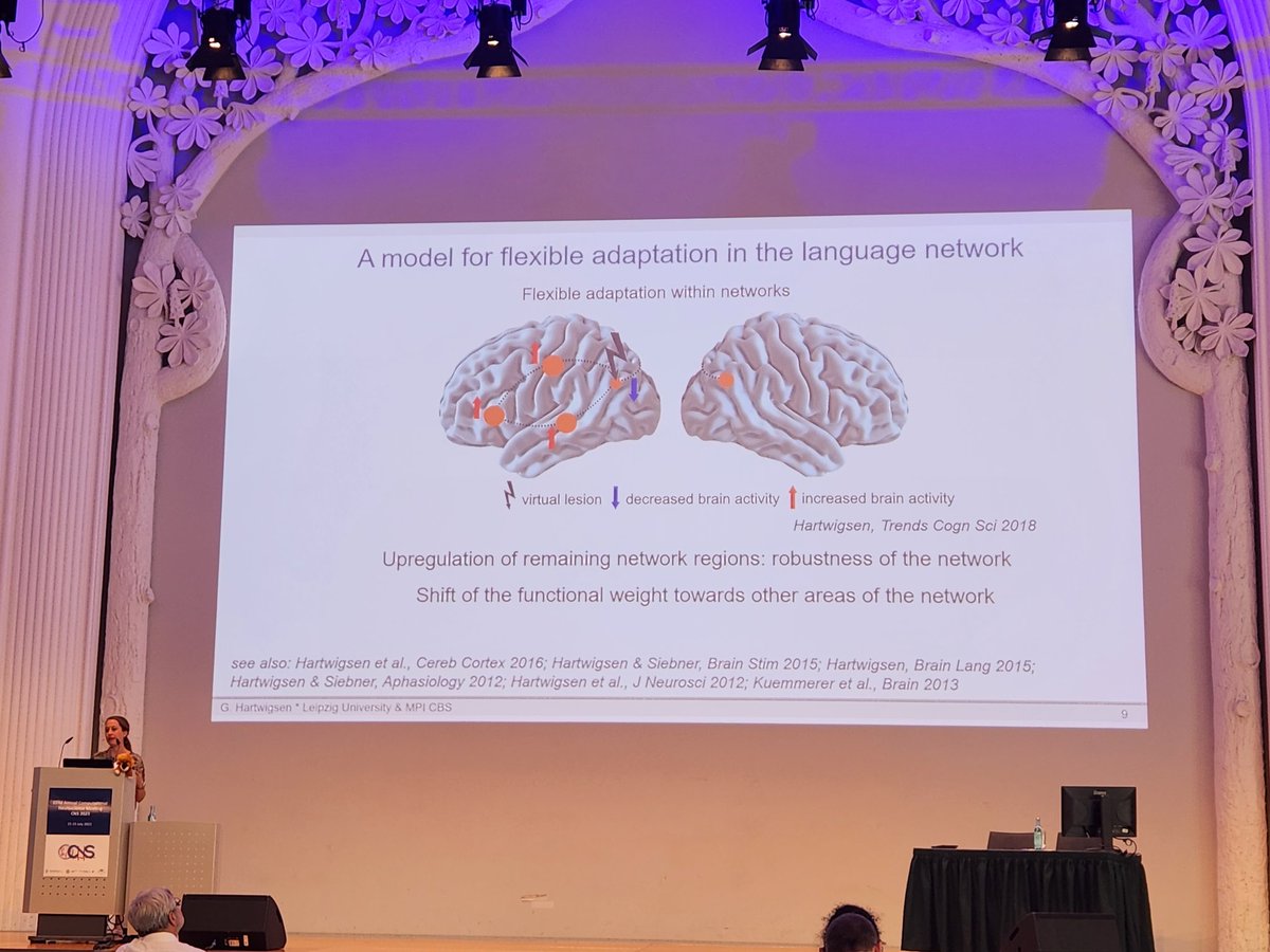 Another fascinating talk today by Prof. Gesa Hartwigsen on "Using non-invasive brain stimulation to modulate cognitive functions"
