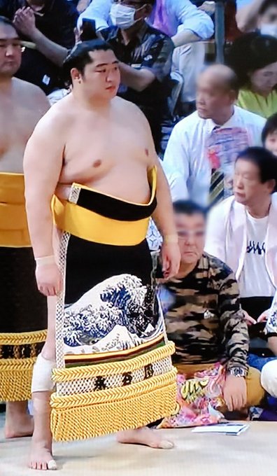 スーパーセール】 ぶたづーうさん専用 豊昇龍、若隆景 スポーツ選手