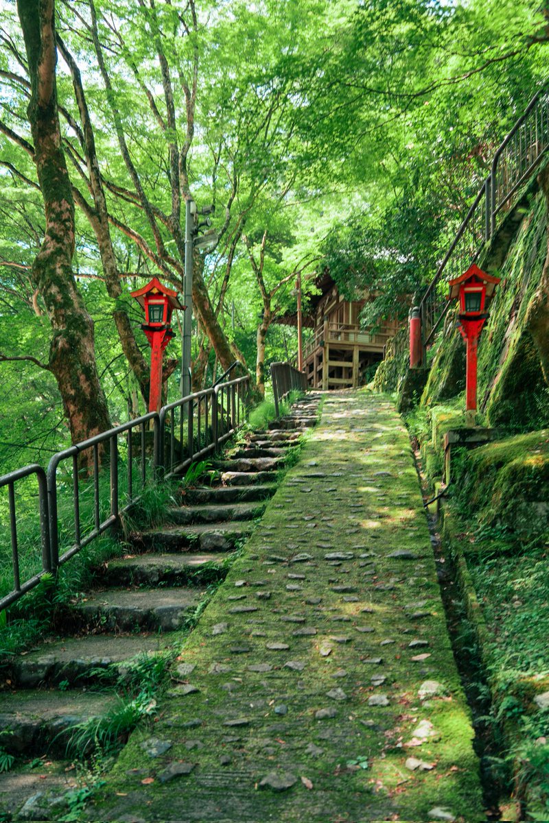 夏の京都はジブリみたい。