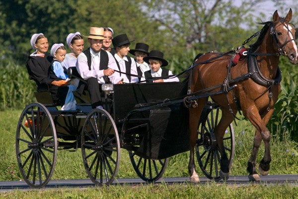 The Amish are the healthiest people in the Western world.
No vaxx, no masks, no GMO, no TV
No autism, no myocarditis, no SIDS, no SADS, no ADHD