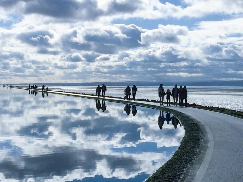 Wirral Globe tweet media