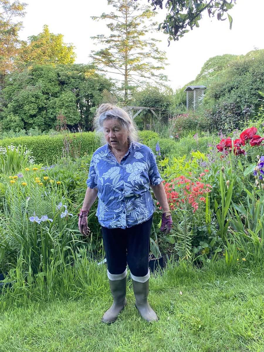 ScentedForager's tweet image. Arbroath Smokie @BBCRadio4 Lovely @robbiejourno Auchmithie #spinks #margarethorn