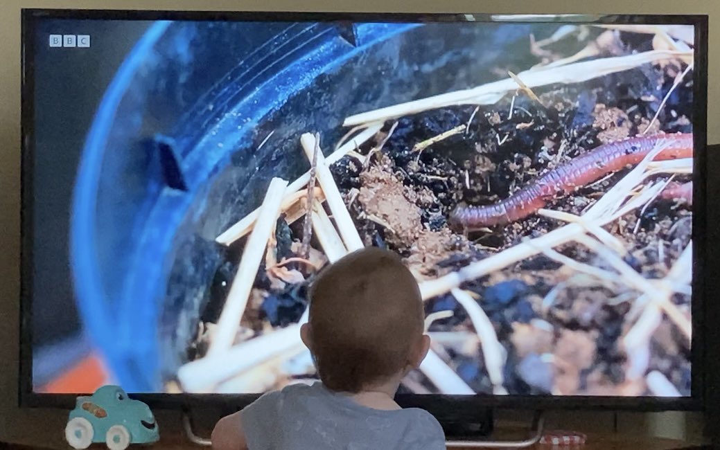 Jackie Stroud (@wormscience) on Twitter photo Worms for breakfast! The family caught me on BBC Breakfast this morning talking to <a href="/DrDavidGK/">David Gregory-Kumar</a> about our new <a href="/DefraSoils/">Defra Soils & Peat</a> funded research to monitor #earthworms using the sounds they make <a href="/No1FarmerJake/">Jake Freestone</a> <a href="/baseuk/">BASE-UK</a> <a href="/WarwickCrop/">Warwick Crop Centre</a> Worms for breakfast! The family caught me on BBC Breakfast this morning talking to <a href="/DrDavidGK/">David Gregory-Kumar</a> about our new <a href="/DefraSoils/">Defra Soils & Peat</a> funded research to monitor #earthworms using the sounds they make <a href="/No1FarmerJake/">Jake Freestone</a> <a href="/baseuk/">BASE-UK</a> <a href="/WarwickCrop/">Warwick Crop Centre</a>
