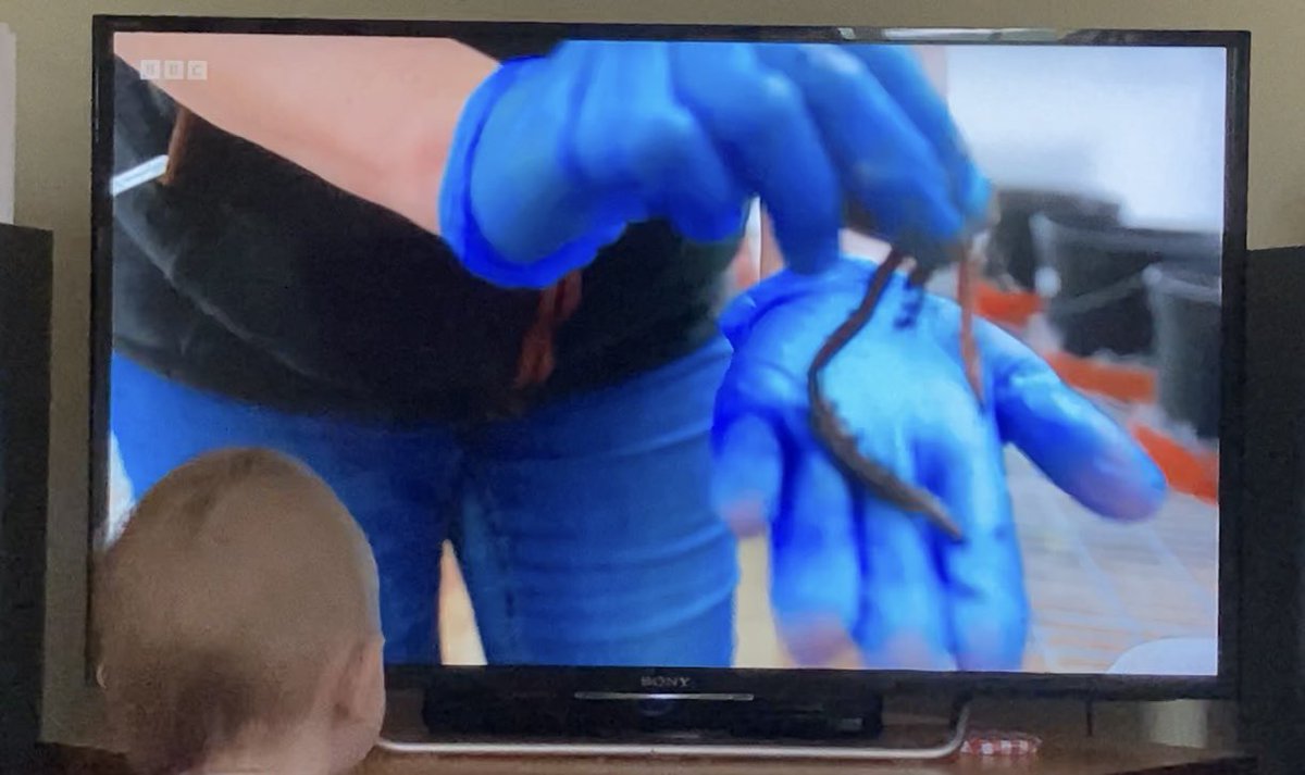 Jackie Stroud tweet media