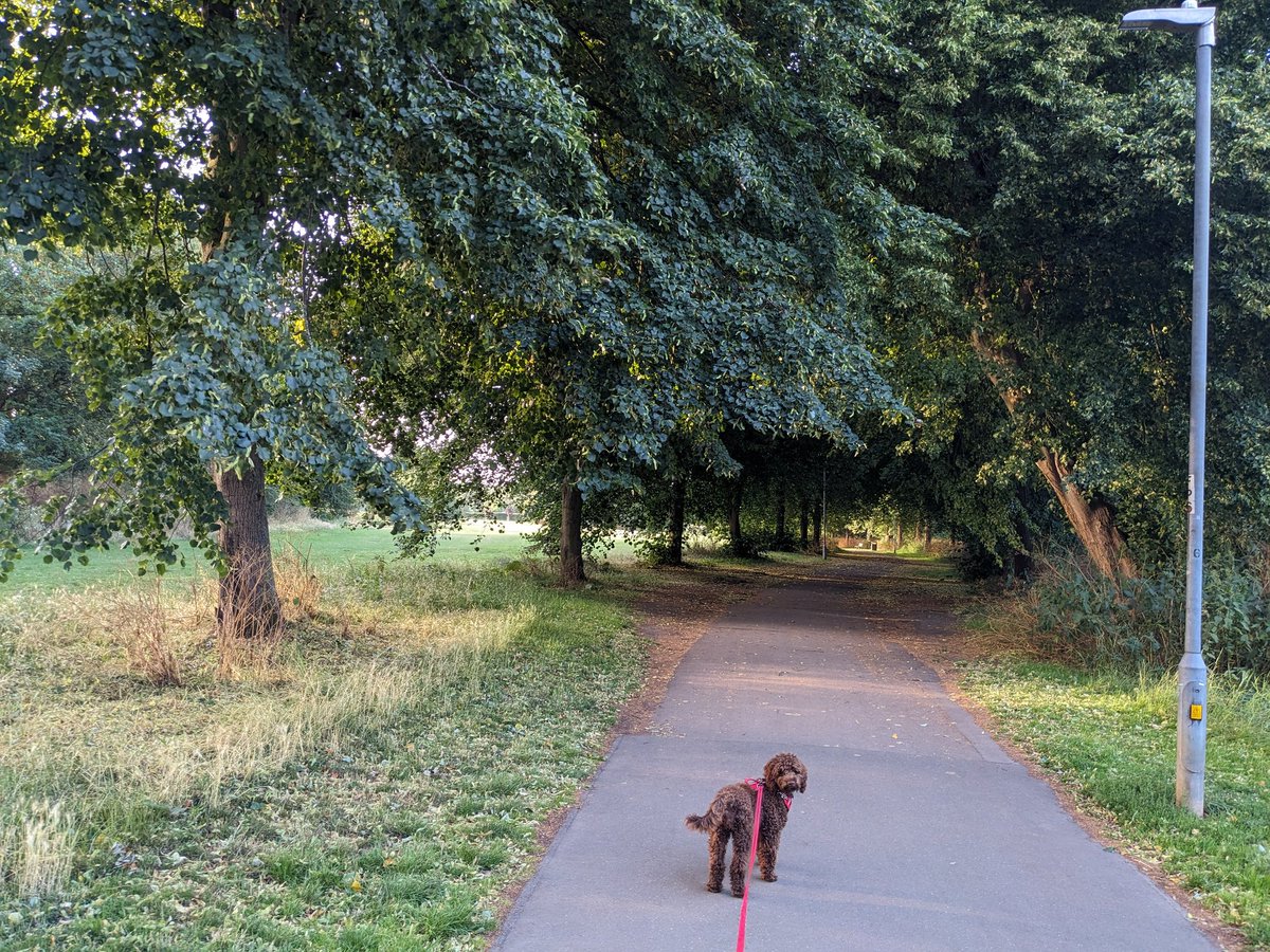 Agi2's tweet photo. Our morning long walk. It was good to blow the cobwebs away. https://t.co/vTNZumEgKe