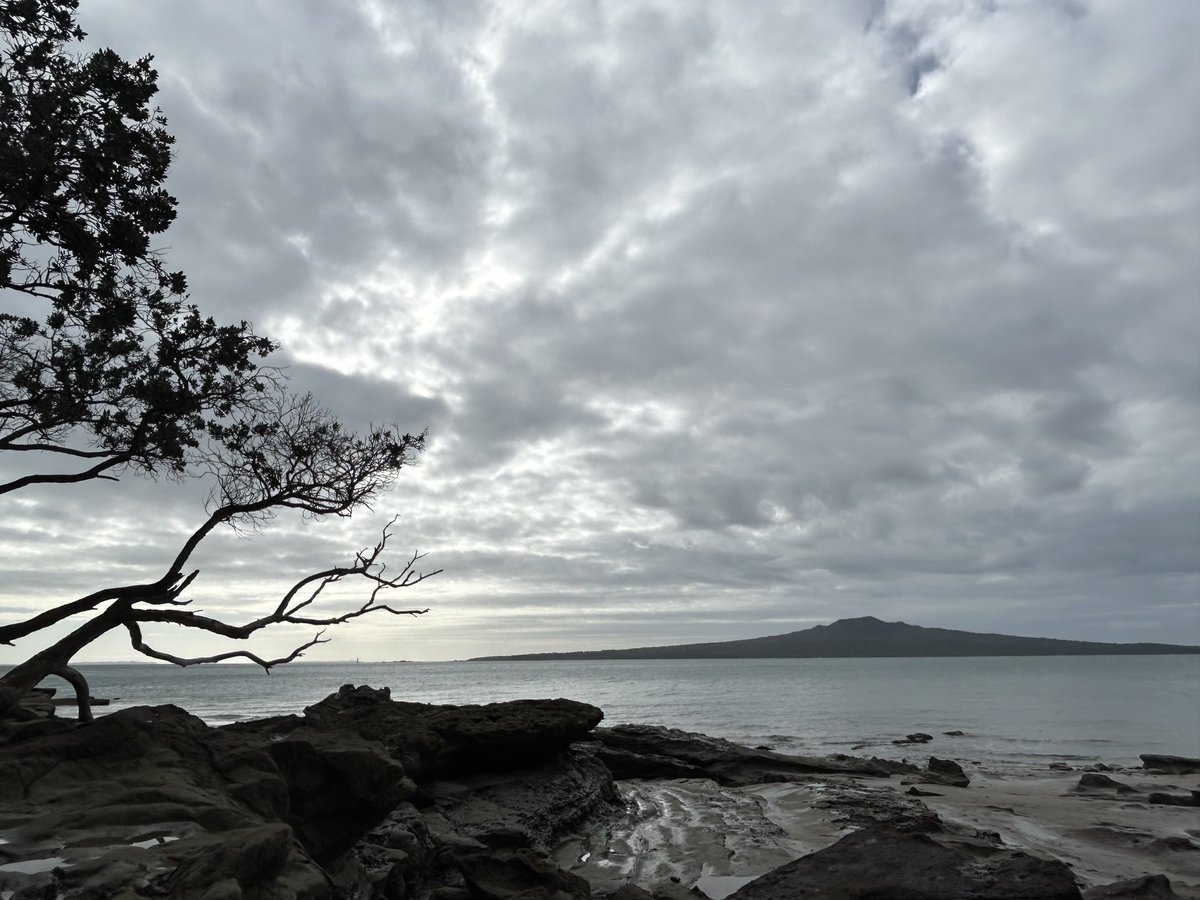 My final day in Aotearoa New Zealand. Visited Cheltenham Beach - great views of Rangitoto. But the highlight had to be the pod of dolphins playing around the ferry as it docked in Devonport. Amazing. So perhaps apt to sign off with this: “So long, and thanks for all the fish…”