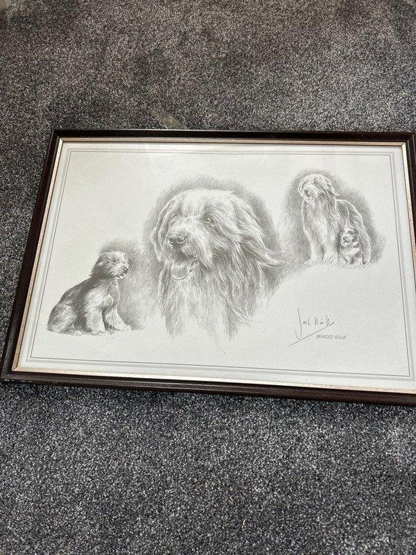 OFFER: Dog picture (Dursley) ilovefreegle.org/message/100873…