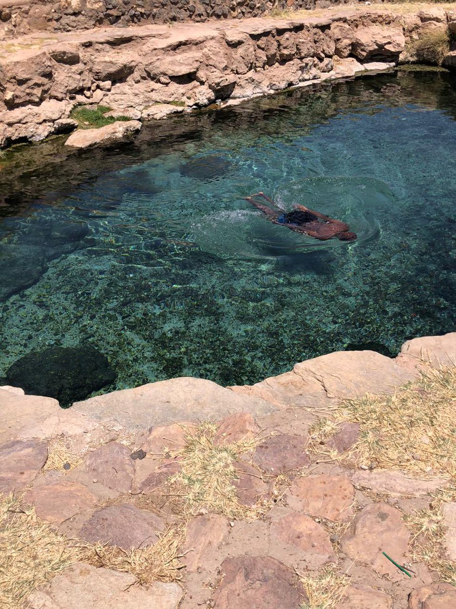 BunduRovers's tweet photo. An afternoon dip in the pool. Guess where we are? This place has has a number of elephants! #BRC #bundurovers #Pointandgo https://t.co/f5LXwYVkIs