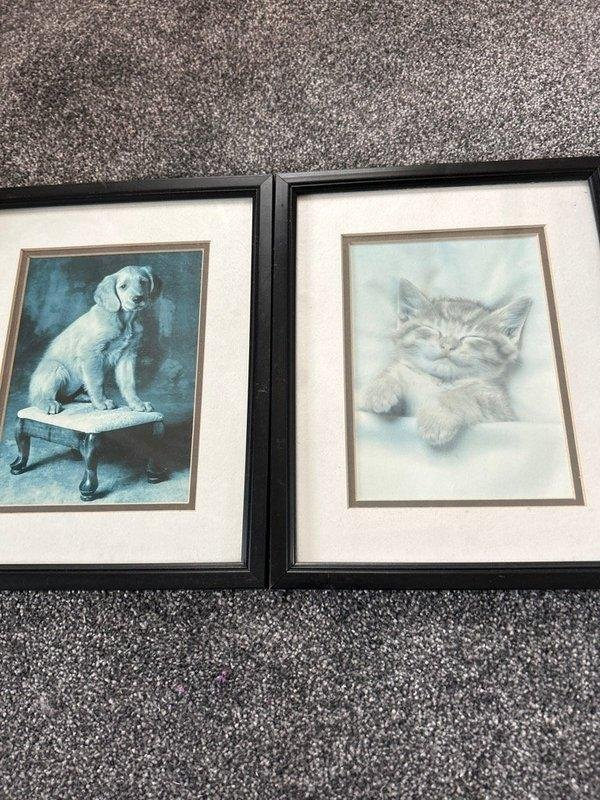 OFFER: Dog and cat pictures (Dursley) ilovefreegle.org/message/100873…
