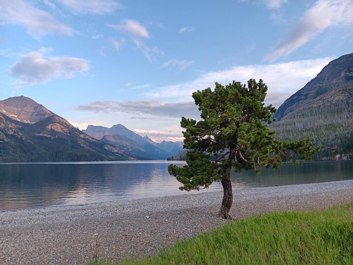 "Every day is a new opportunity. You can build on yesterday's success or put its failures behind and start over again. That's the way life is, with a new game every day, and that's the way baseball is." ~ Bob Feller. Baseball in today's My Daily Minute. h
conta.cc/44GVNql