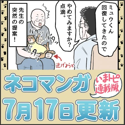 ミュウくんは普通の猫に戻れますか!?の巻  #にゃんこ #まんが #マンガ #四コマ漫画 #猫 #ねこ部 #ねこ #猫あるある #猫漫画 #ペット #飼い主 #実話漫画 #ねこらぶ #エッセイ漫画 #みんねこ #キャット #ねこのいる生活 #猫ばか #にゃんだふるらいふ