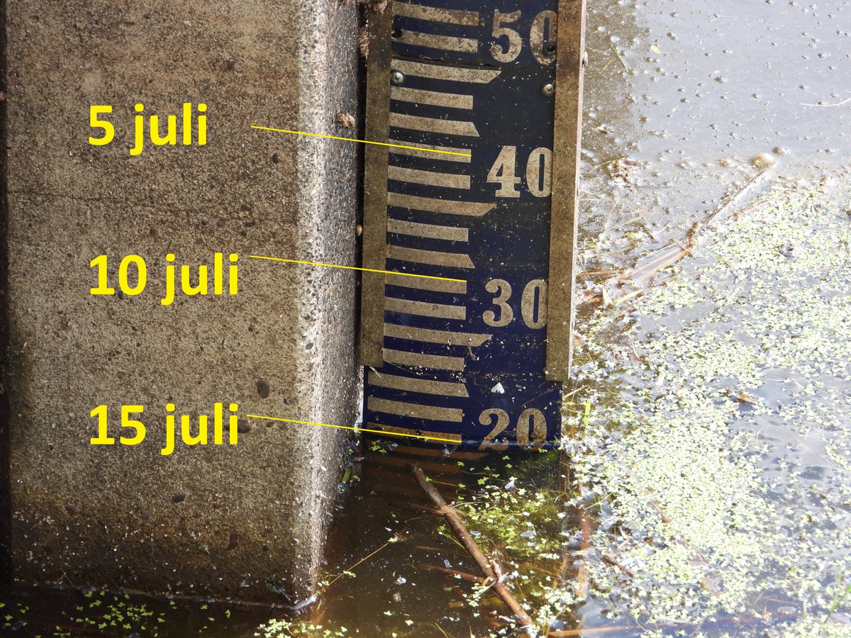 Af en toe wat regen is fijn maar het waterpeil in het #HartVanDrenthe daalt nog steeds verder. Ondertussen staat het water een meter lager dan in het voorjaar. #droogte is nog lang niet voorbij.