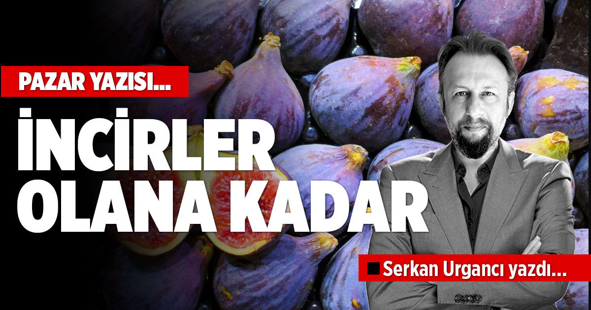 İNCİRLER OLANA KADAR...

İğneden ipliğe her şeyin fiyatını artıracak olan akaryakıt zamları, hayat pahallılığı, beynimizi rafadan yumurtaya çevirecek derecede sıcaklar, işsizlik, rekor üstüne rekor kıran altın ve döviz fiyatları gündeminin içinde ne kadar başarabilirim