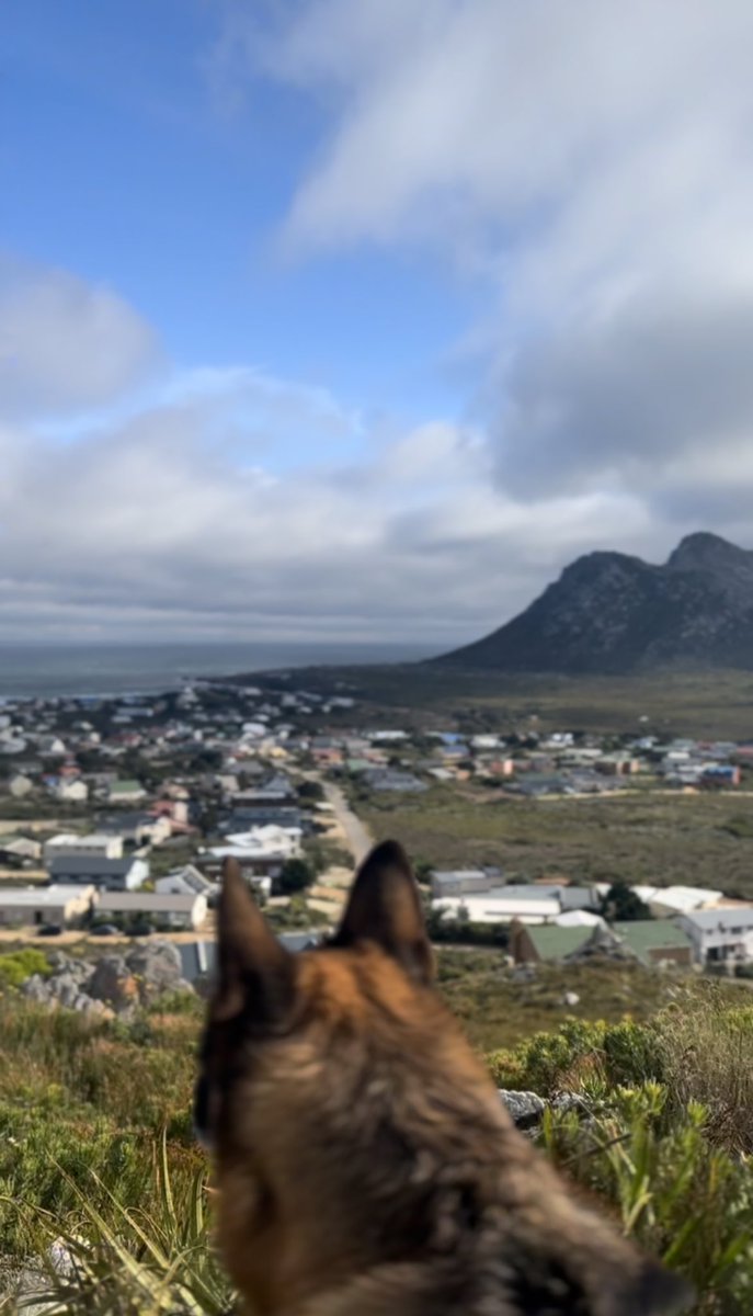 Mariette dT-Helmbold tweet media