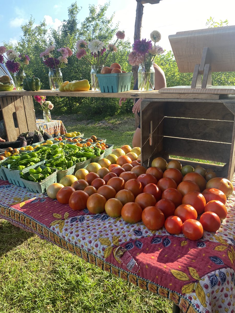 seasaltnc's tweet photo. Market Day https://t.co/zdDfaxoVpC