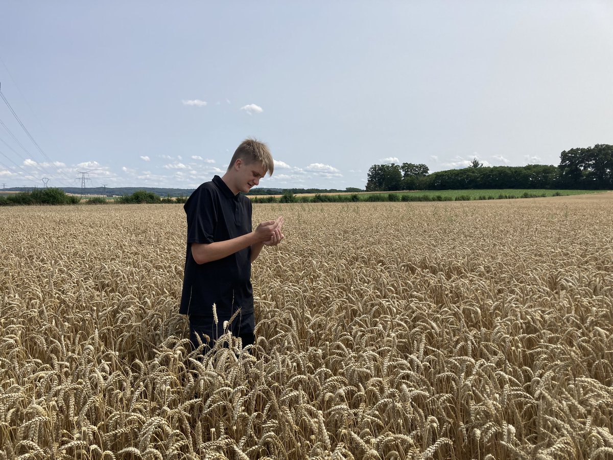 LePogamGuillaum's tweet image. La #moisson2023 continue 🥖🥐🍞
La #relève17ans @MatheoLEPogam cultive la passion 
@Fragritwittos