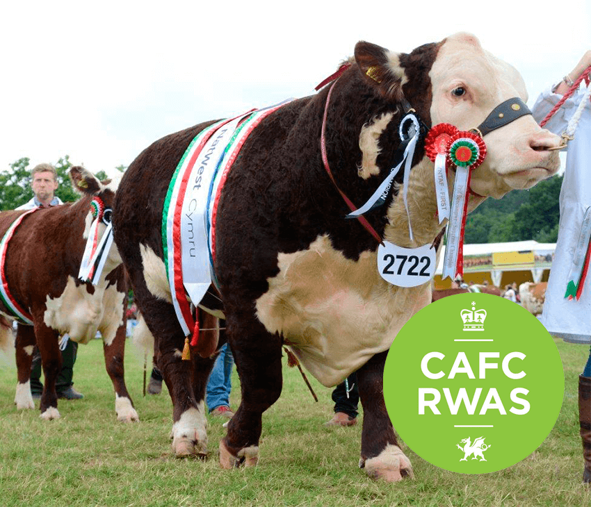 Datamars Livestock tweet media