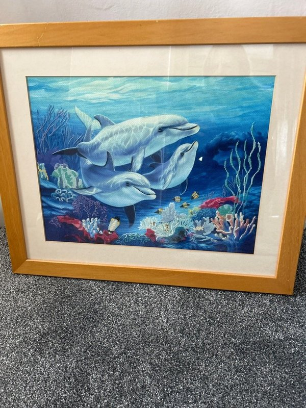 OFFER: Dolphin picture (Dursley) ilovefreegle.org/message/100876…