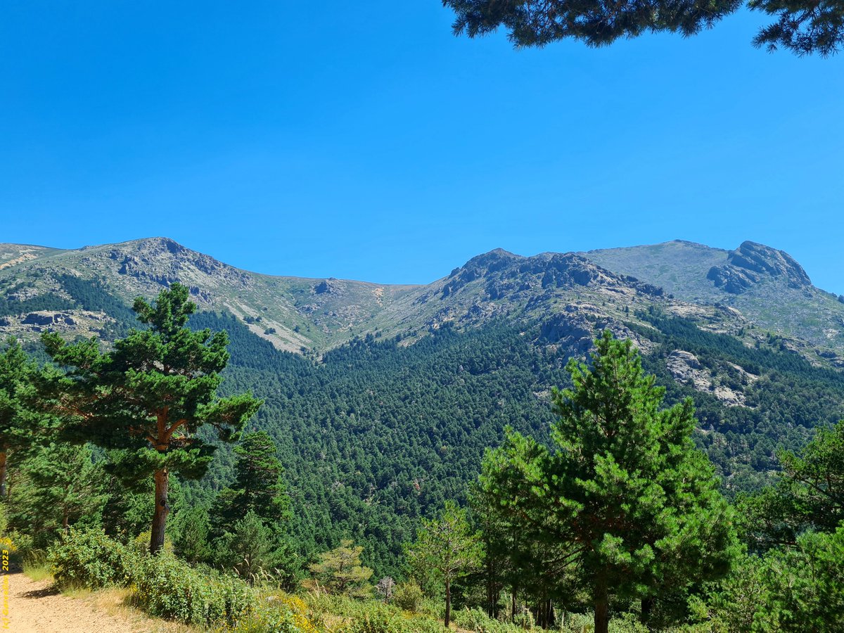 LorenzoGarciaCe's tweet image. Macizo de Maliciosa desde el camino de la Barranca.

Sierra de Guadarrama, Madrid. Julio de 2023.

#garcellor #maliciosa #labarranca #paisajes #panoramicas #fotosconmovil