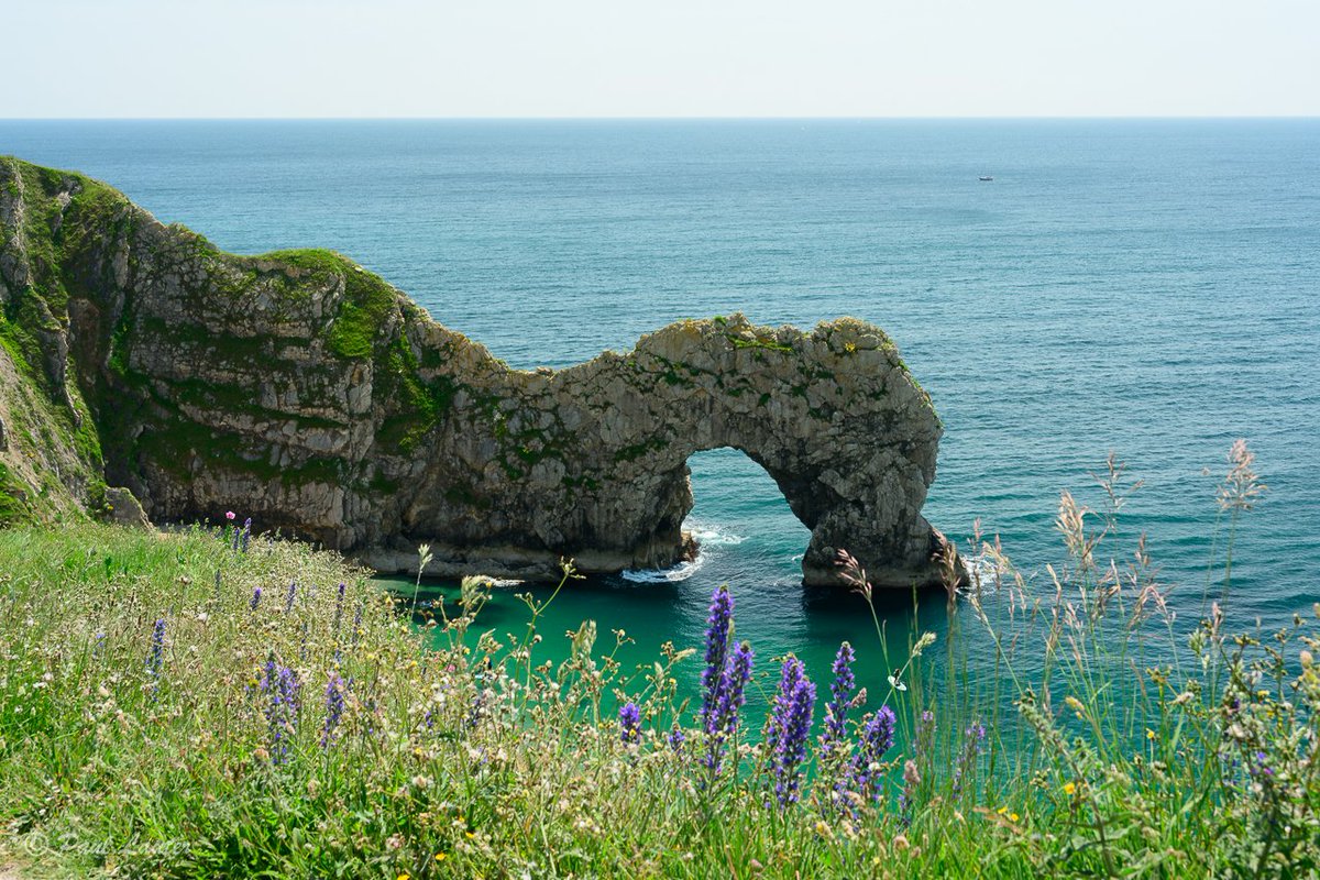 For this weekend's photo, I thought I would share another Landscape photo from my trip to the Dorset coast. 

#seascape #landscapephotography #dorset #dorsetcoast #visitdorset #coastalphotography #coastalpath #durdledoor