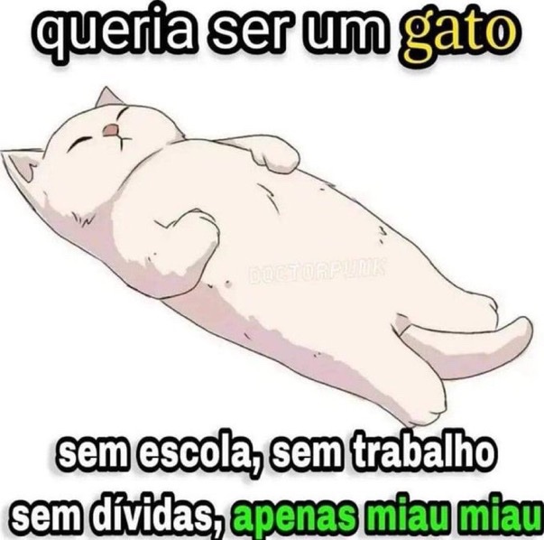 meIhoresamigosz's tweet photo. https://t.co/ndrPeKczur