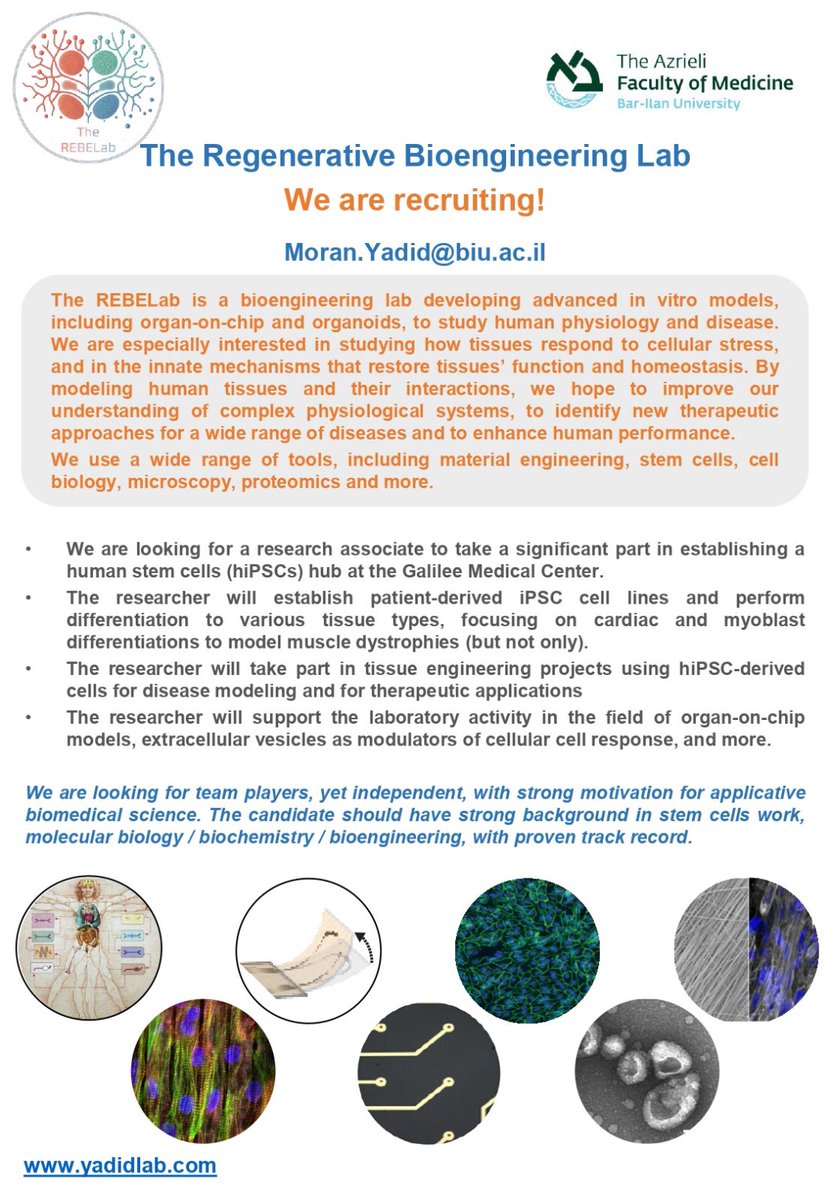 Bar- Ilan Faculty of Medicine (@biumedicine) on Twitter photo Dr. Moran Yadid's lab is looking for a research associate to take a significant part in establishing a human stem cells (hiPSCs) hub at the Galilee Medical Center.
<a href="/GalileeMedical_/">Galilee Medical Center</a> Dr. Moran Yadid's lab is looking for a research associate to take a significant part in establishing a human stem cells (hiPSCs) hub at the Galilee Medical Center.
<a href="/GalileeMedical_/">Galilee Medical Center</a>