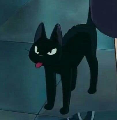 JiJi ♥️