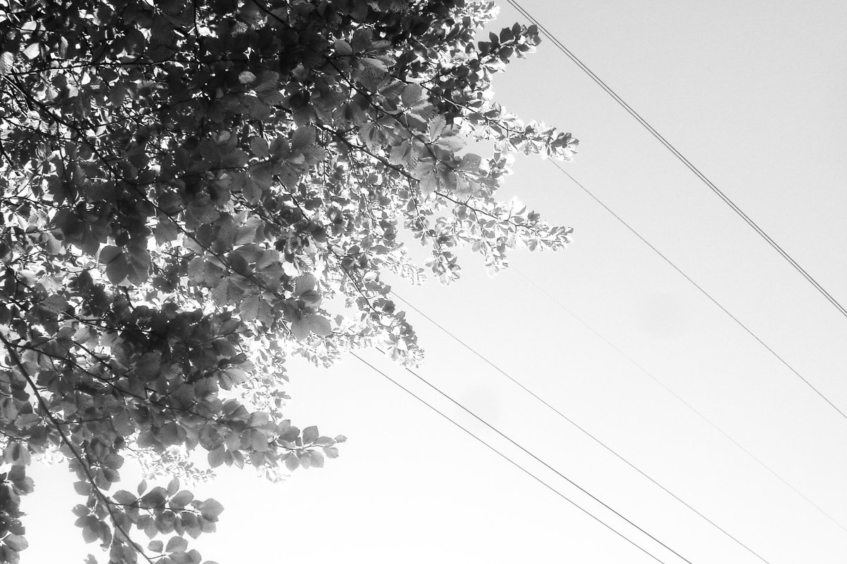 Ella (@ella58935760) on Twitter photo 