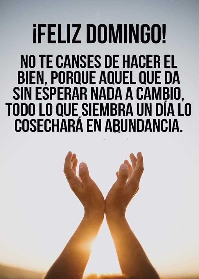 Feliz Domingo