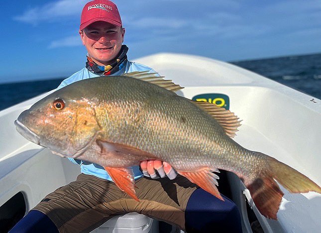 fishlosroques's tweet photo. Mutton snapper are a side catch in #losroques they definitely provide a great experience in the reefs surrounding the flats in #losroques https://t.co/aqXSFAR6yR