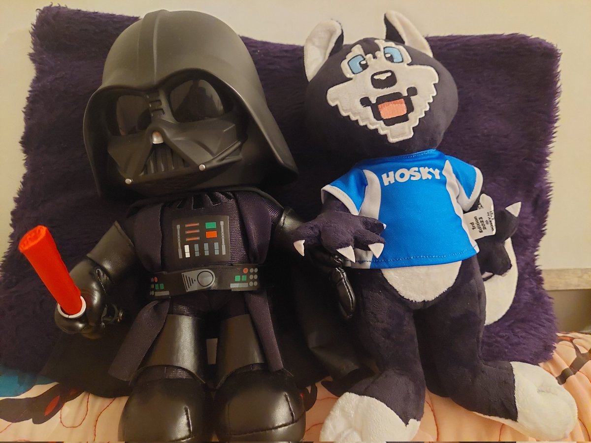 alexchain79's tweet photo. #DARTHweb has a new @hoskytoken friend ❤️ https://t.co/TrCgZ7qBKe