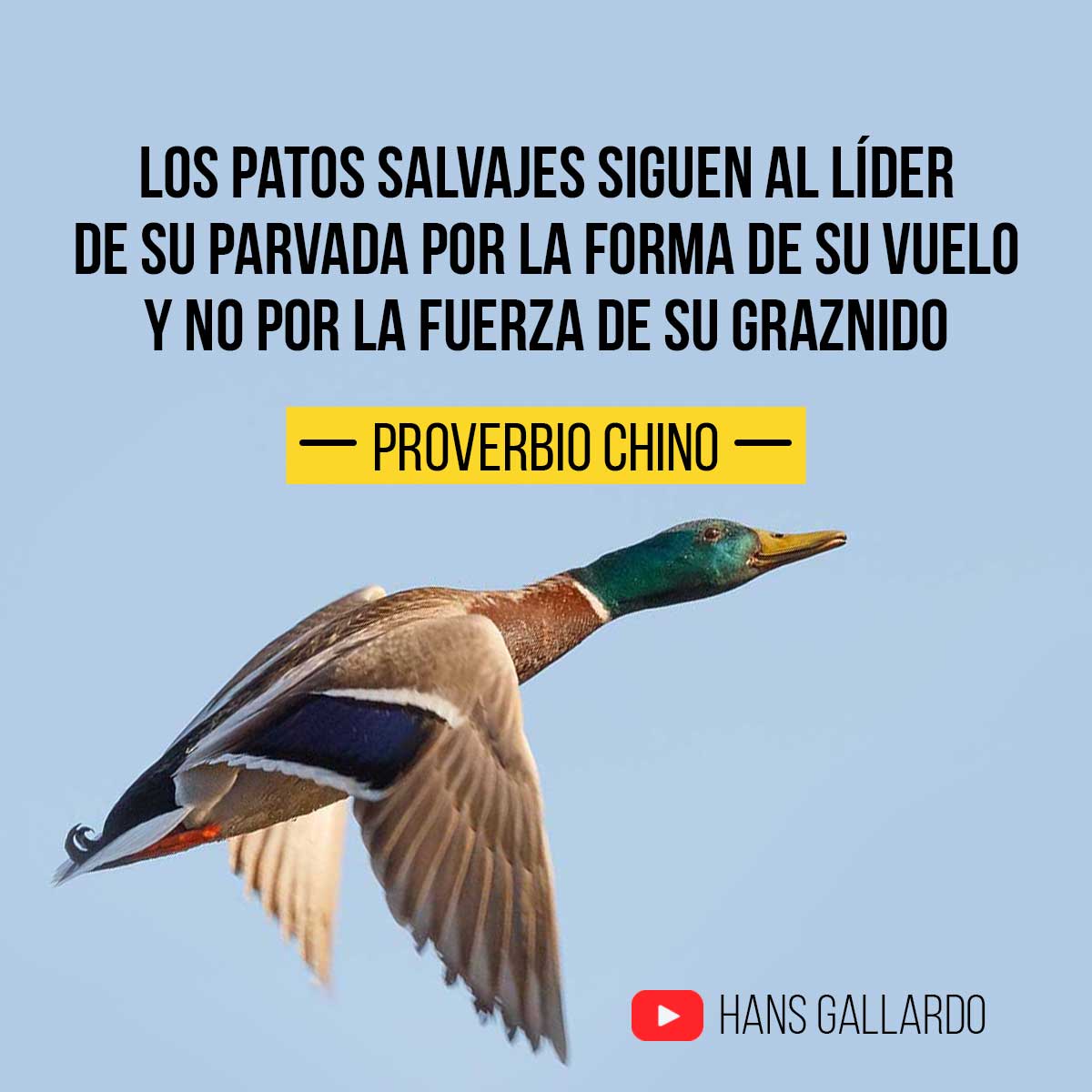 hansgallardos's tweet photo. Descubre el poder del liderazgo: inspira, guía y deja una huella duradera en los demás. 
✨🦆 #Liderazgo

🙌Te invitamos a conocer 10 tipos de liderazgo: https://t.co/kEH7BWEO09
👉Visita nuestro canal: https://t.co/lisxU98Snz https://t.co/5mvq7v20YG