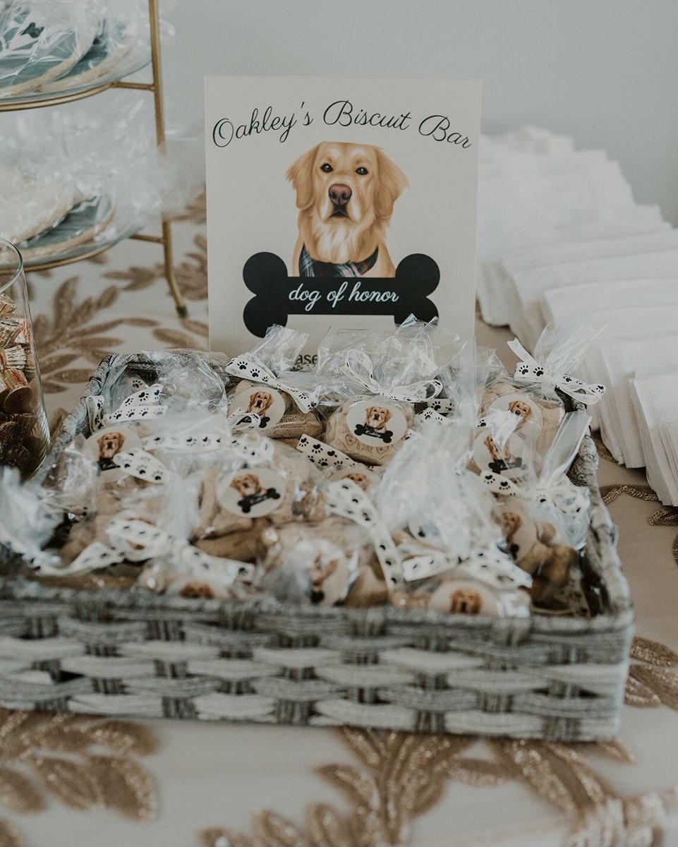 We love this 🤣🥺

Who would have this biscuit bar at their wedding?!

#wedding #weddingday #weddingdayinspo #weddinginspo #weddingideas #weddingdayideas #petsatwedding #allthingsbridal #bridal #weddingdress #weddingdressshopping #weddinggown #weddingdressideas #weddingdressinspo