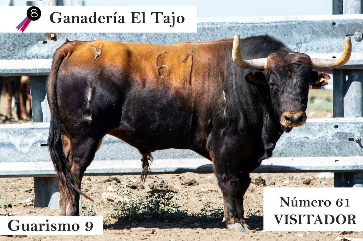 A falta de un mes para la gran cita, ¡tenemos toros!

Cacareo, Alabastro, Descastado y Visitador son los elegidos para protagonizar nuestro querido 16 de agosto. 

<a href="/aytobrihuega/">Ayuntamiento Brihuega</a> #EncierroDeBrihuega #EncierroBrihuega #16DeAgosto #Encierro16DeAgosto #16A #YFM #Tradición #Único