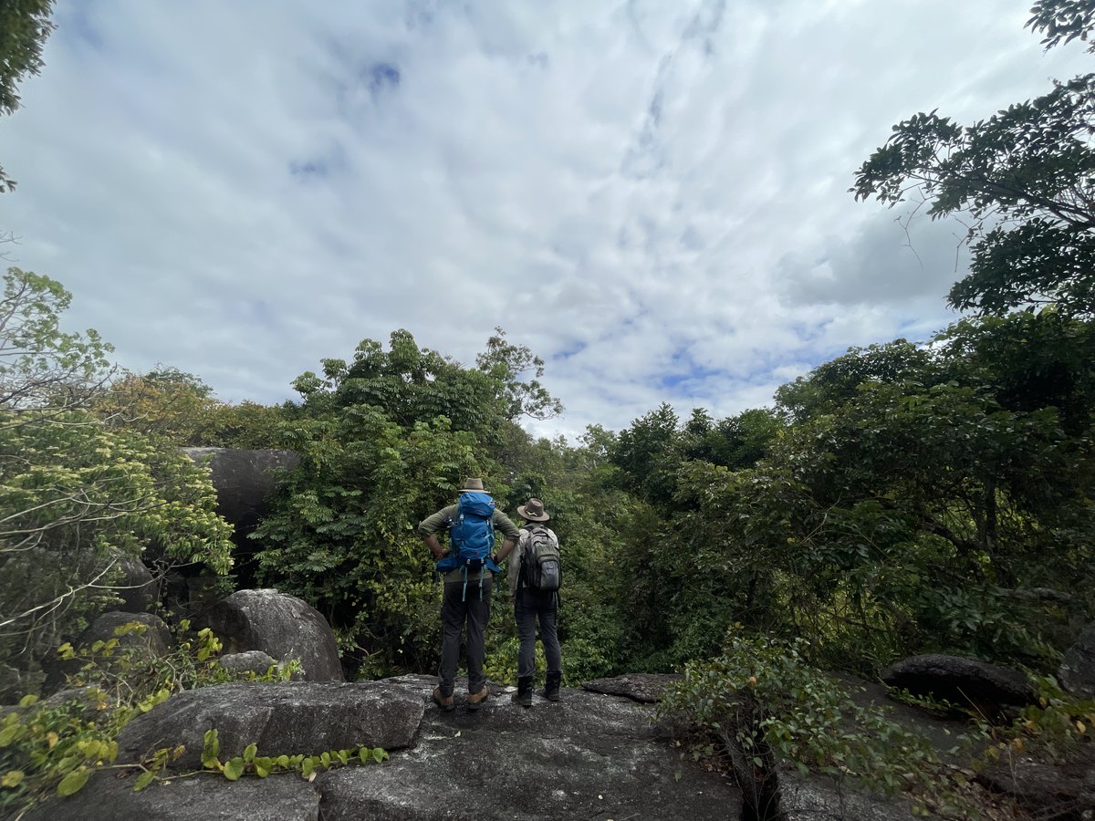 The cameras are in.
The #bat detectors are collected.
The #chopper has landed and the camp is closed.

The #BoulderfieldBioblitz is completed!

Caves were explored and hills climbed.
Our findings from will be shared soon with some exciting news!

📷 Ari 'Turwin' Ananda