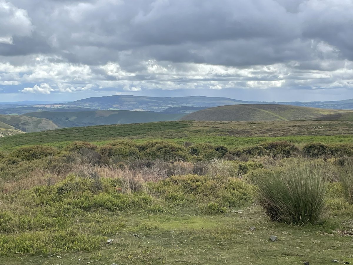 Finham Park DofE tweet media