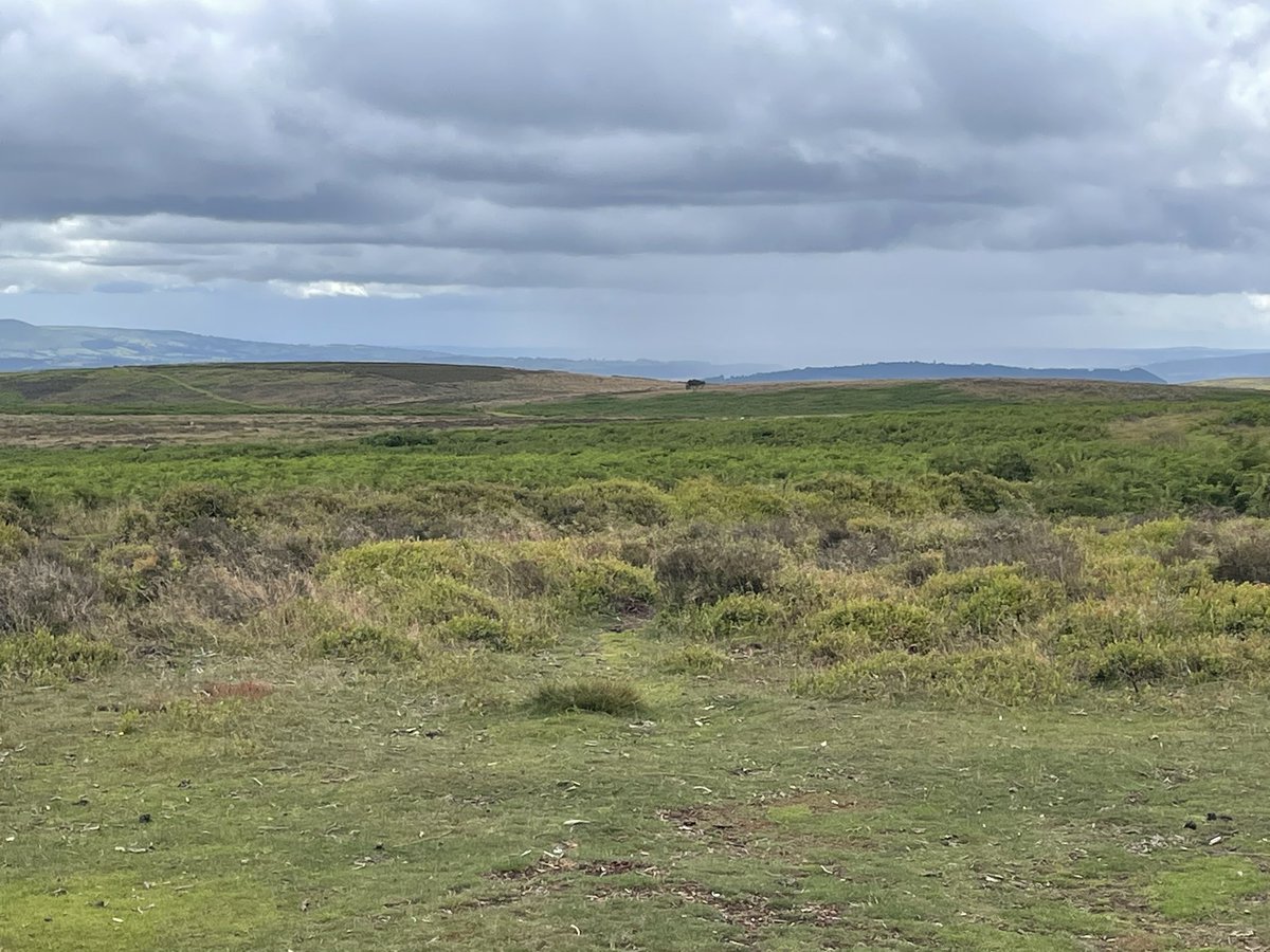 Finham Park DofE tweet media